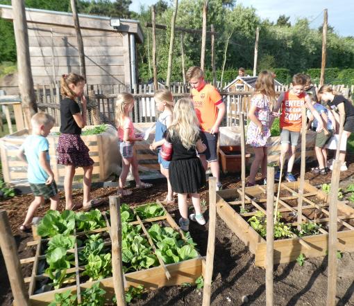Buiten ki Moestuin.jpg